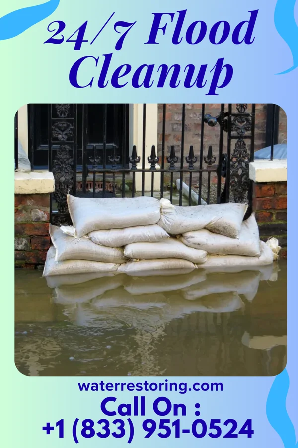 24/7 Flood Cleanup in Orion, IL